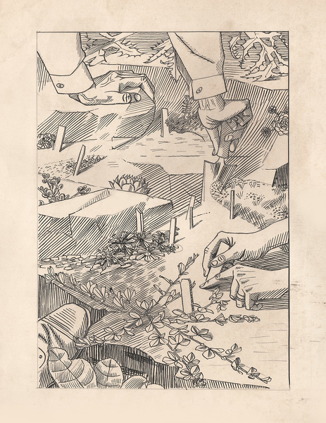 Artist Evelyn Dunbar: Study for the frontispiece of Gardener’s Diary 1938, 1937 [HMO 417]