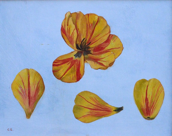 Artist Carolyn Sergeant (1937-2018): Tulip Petals