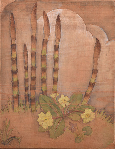 Artist Viola Paterson: Horsetail shoots (Equisetum sp) with primrose (Primula vulgaris)and violet (Viola sororia)