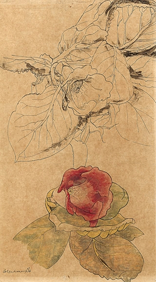 Artist Ithell Colquhoun: Gloxinia, 1934