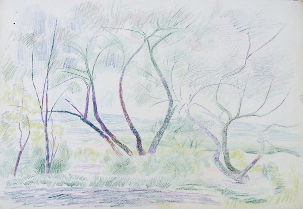 Artist Evelyn Dunbar (1906-1960): Trees in Kent circa 1953