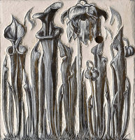 Artist Clare Leighton: Trillium (BPL 522), 1942